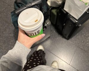 スイス旅行　eSIM travel in suisse