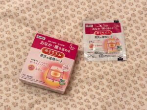 フランスの冬 家 寒い