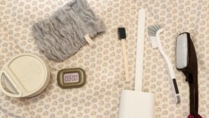 一時帰国 買うもの ダイソー スリコ