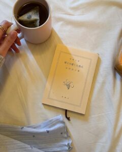 博士の愛した数式　レビュー　悩んだ時　やさしい本