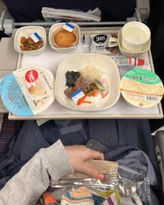 大韓航空　機内食　ビビンバ